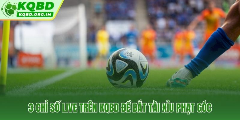Ba chỉ số live trên KQBD phản ánh xu hướng tài xỉu phạt góc sớm nhất