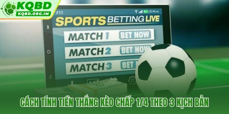 Ba kịch bản tính tiền kèo chấp 1/4 sau mỗi trận đấu