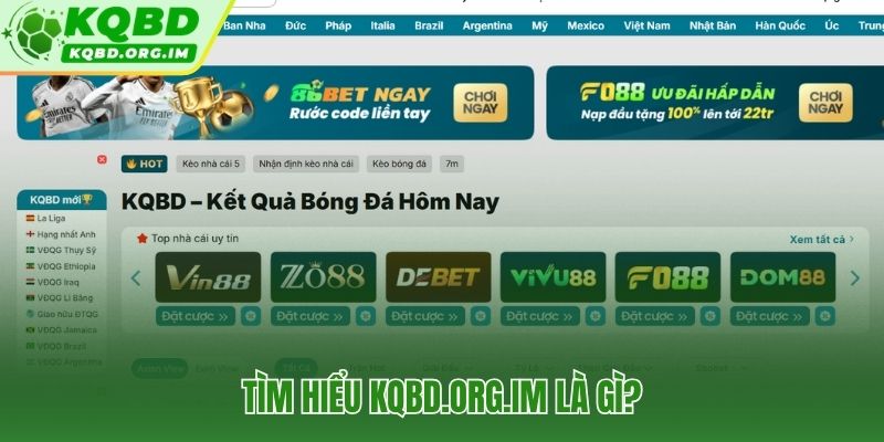 Giới thiệu pet-love.com.tw kho dữ liệu bóng đá ra mắt từ tháng 10/2012